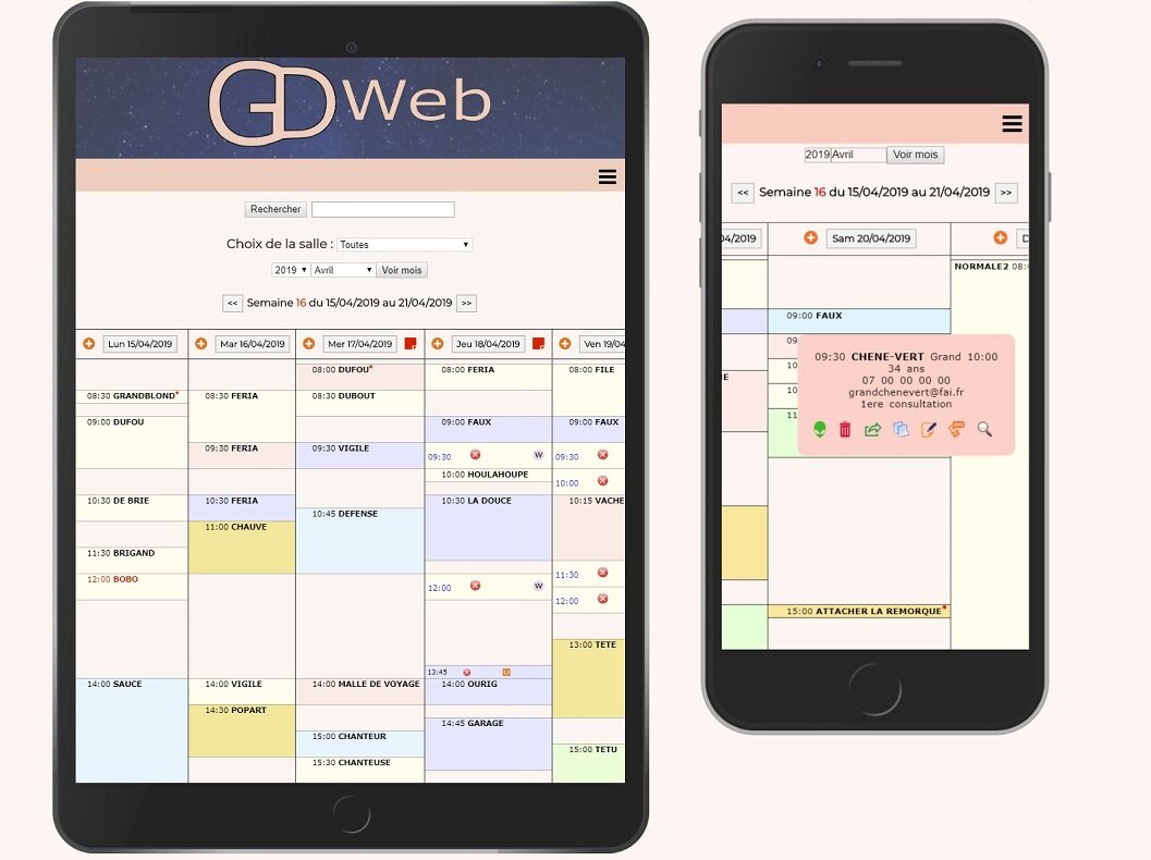 GDweb: smartphone